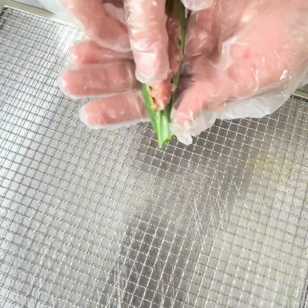 Main gantée farcissant le mélange de canard assaisonné dans une moitié de gousse dokra.