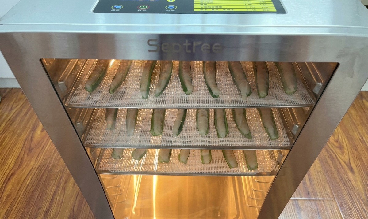 Grilles dokras farcis de poulet haché insérées dans un déshydrateur en inox avec minuteur numérique.