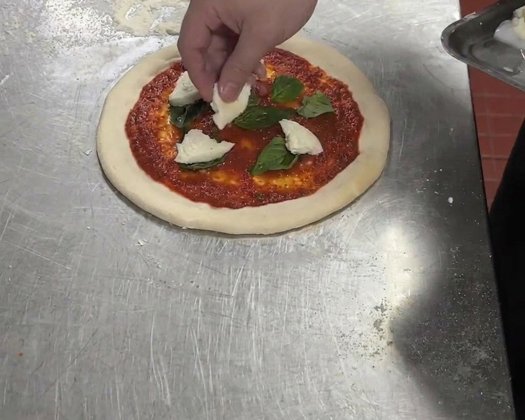 Des morceaux déchirés de mozzarella di bufala blanche ajoutés sur une pizza déjà garnie de sauce tomate et de basilic.