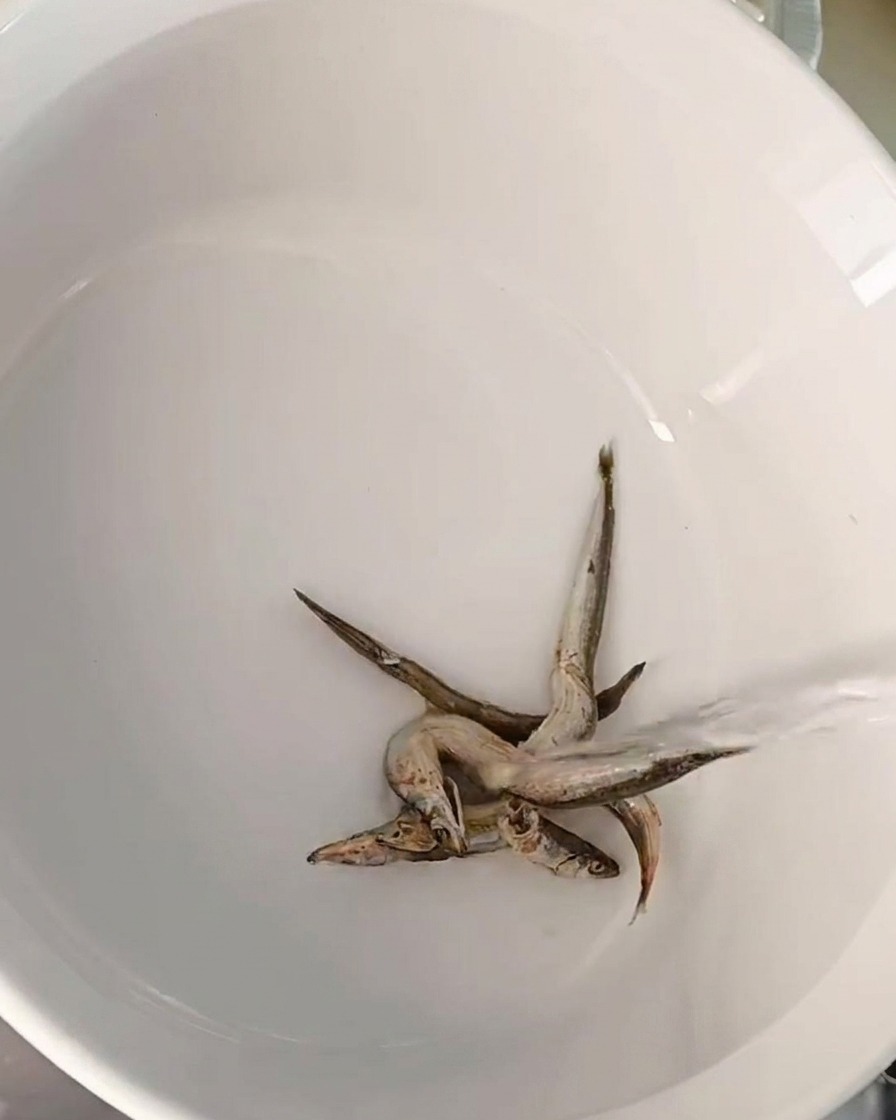 Plusieurs petites anchois séchées au fond dune marmite blanche alors que leau est versée.