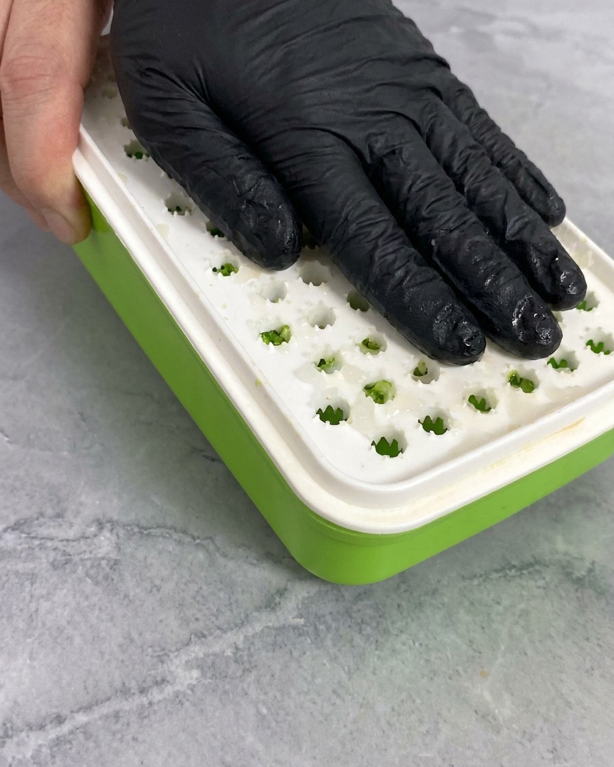 Main râpant un morceau de radis blanc daikon sur une râpe manuelle verte.