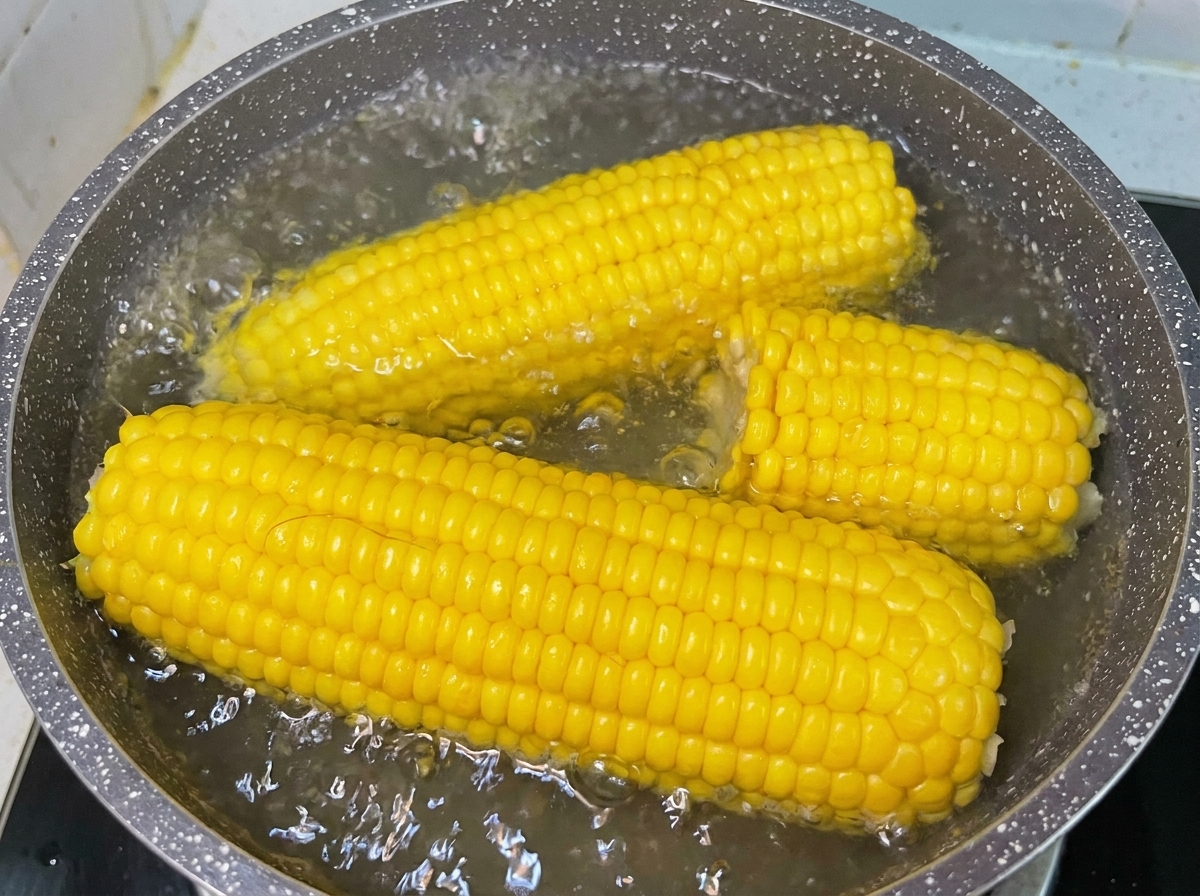 Épis de maïs doux jaunes bouillant dans une casserole deau frémissante sur une cuisinière.