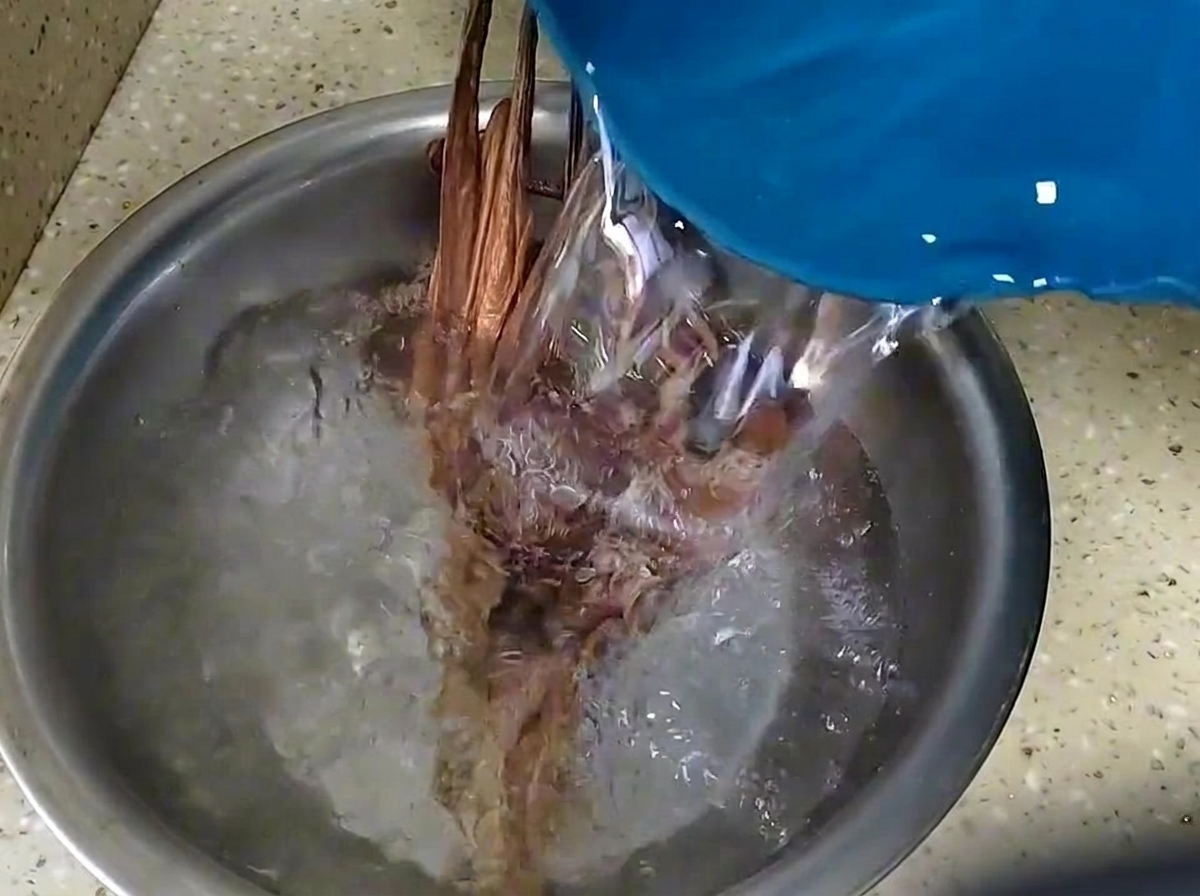 De leau est versée sur du poulpe séché et des champignons shiitake dans un bol en métal.