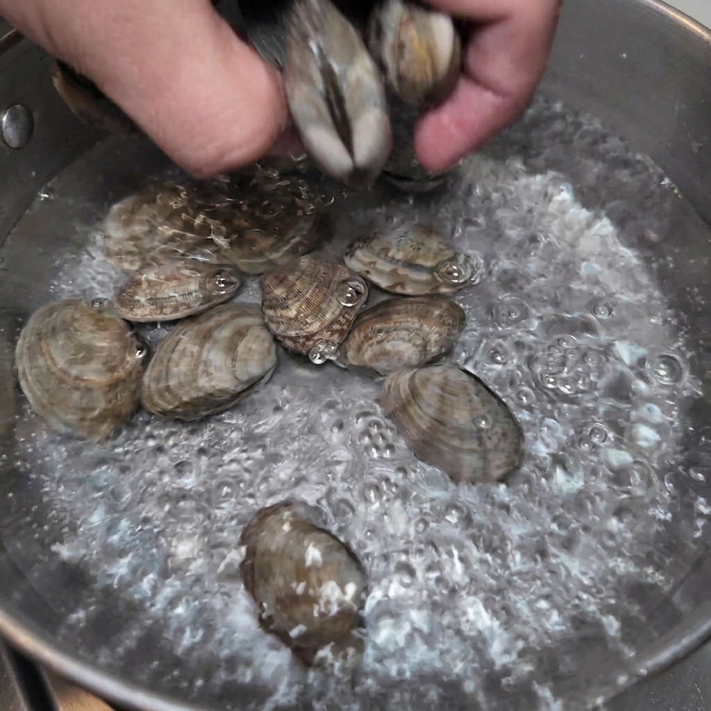 Une main jetant des palourdes fraîches dans une casserole deau bouillante.