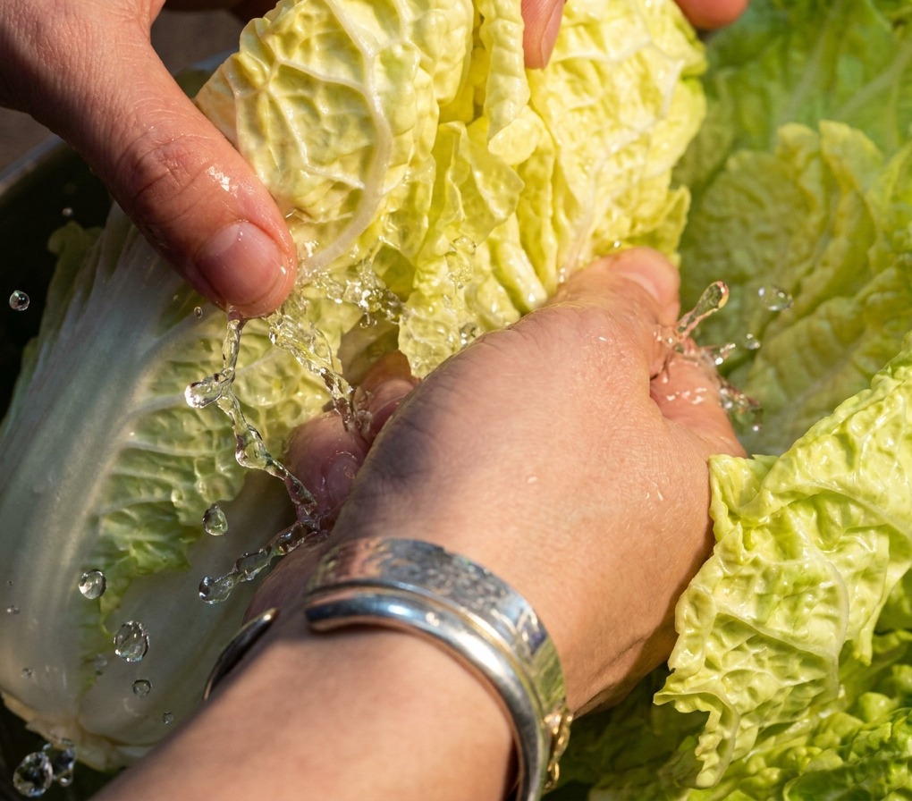 Mains frottant du sel entre les feuilles de chou chinois cru.