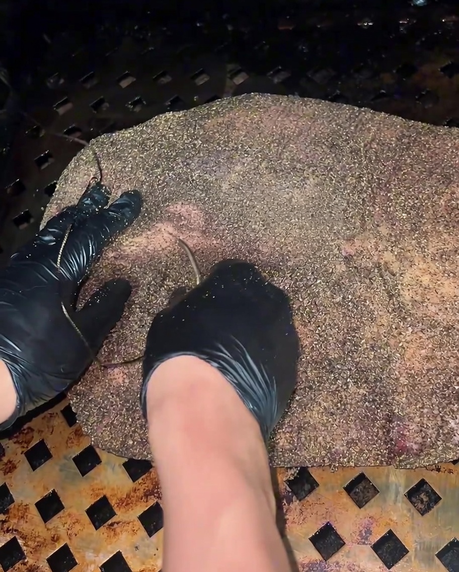 Un vaporisateur aspergeant la surface de la poitrine en plein fumage qui commence à foncer.