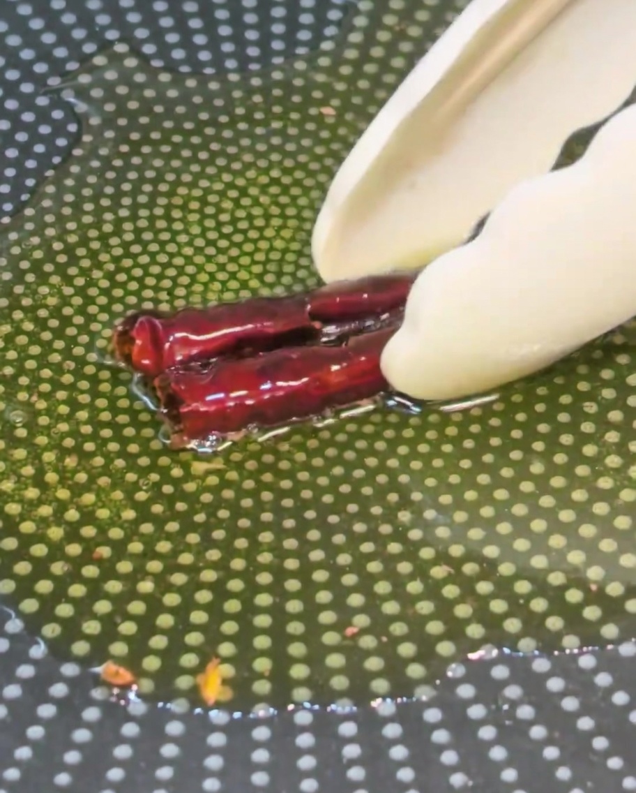 Piments retirés de la poêle avec des pinces.