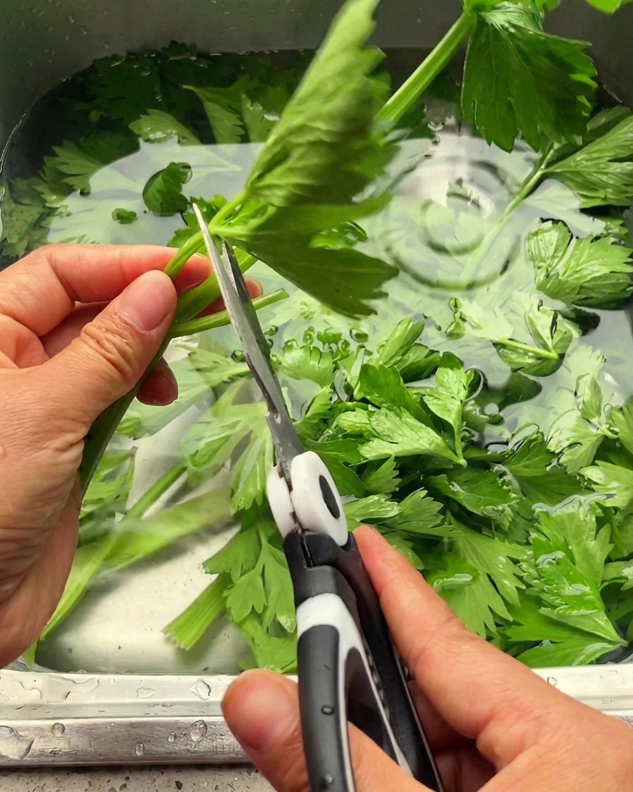 Mains utilisant des ciseaux de cuisine pour couper les feuilles de céleri au-dessus dun évier.