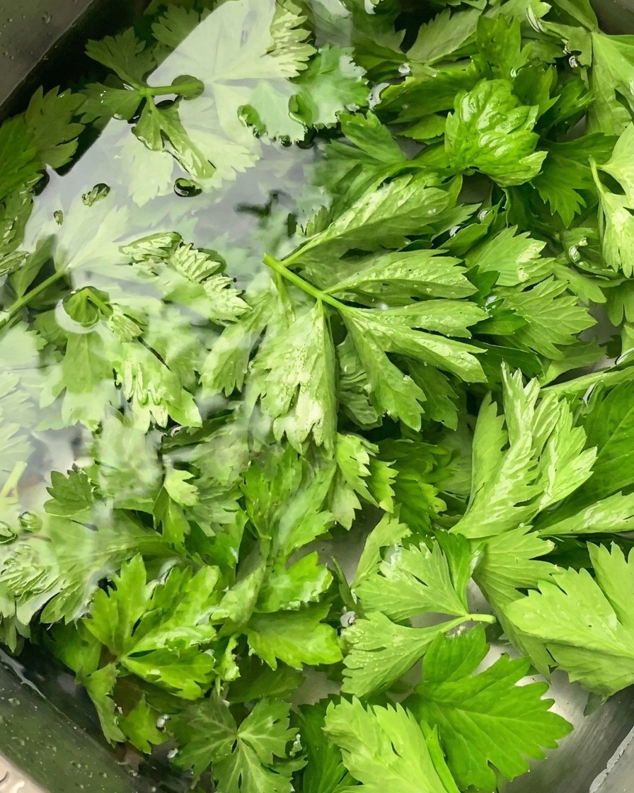 Feuilles de céleri trempant dans de leau claire dans un évier en inox.