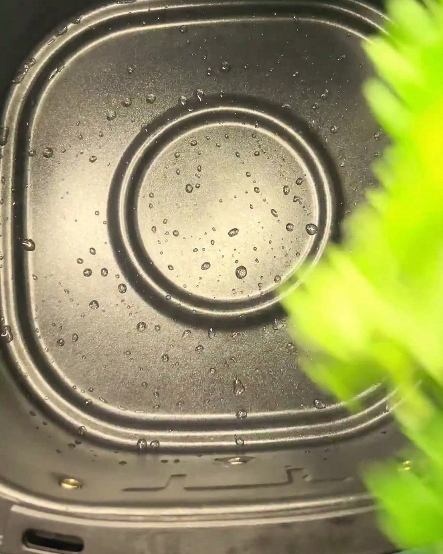 Feuilles de céleri déposées dans le panier de la friteuse à air.