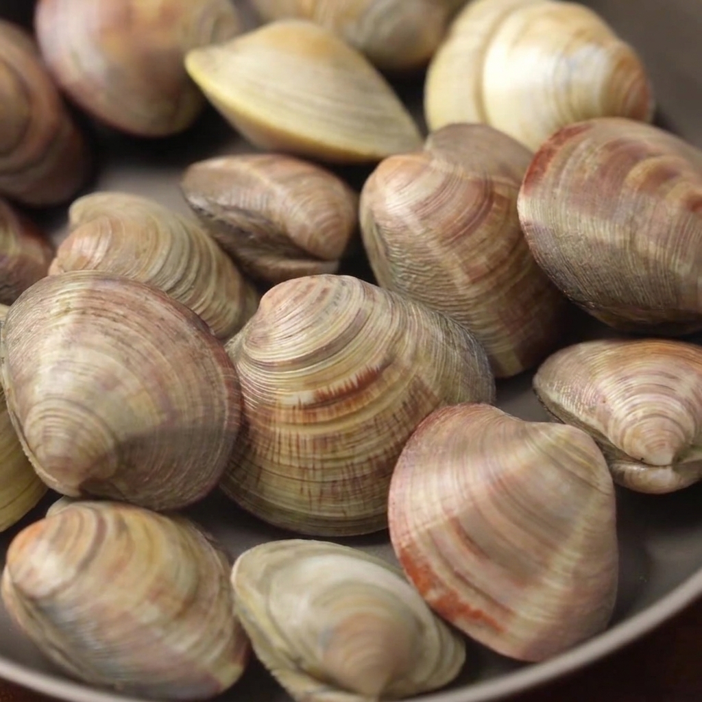Des palourdes cuisant dans une marmite remplie deau, de tranches de citron et de vin blanc à feu moyen.