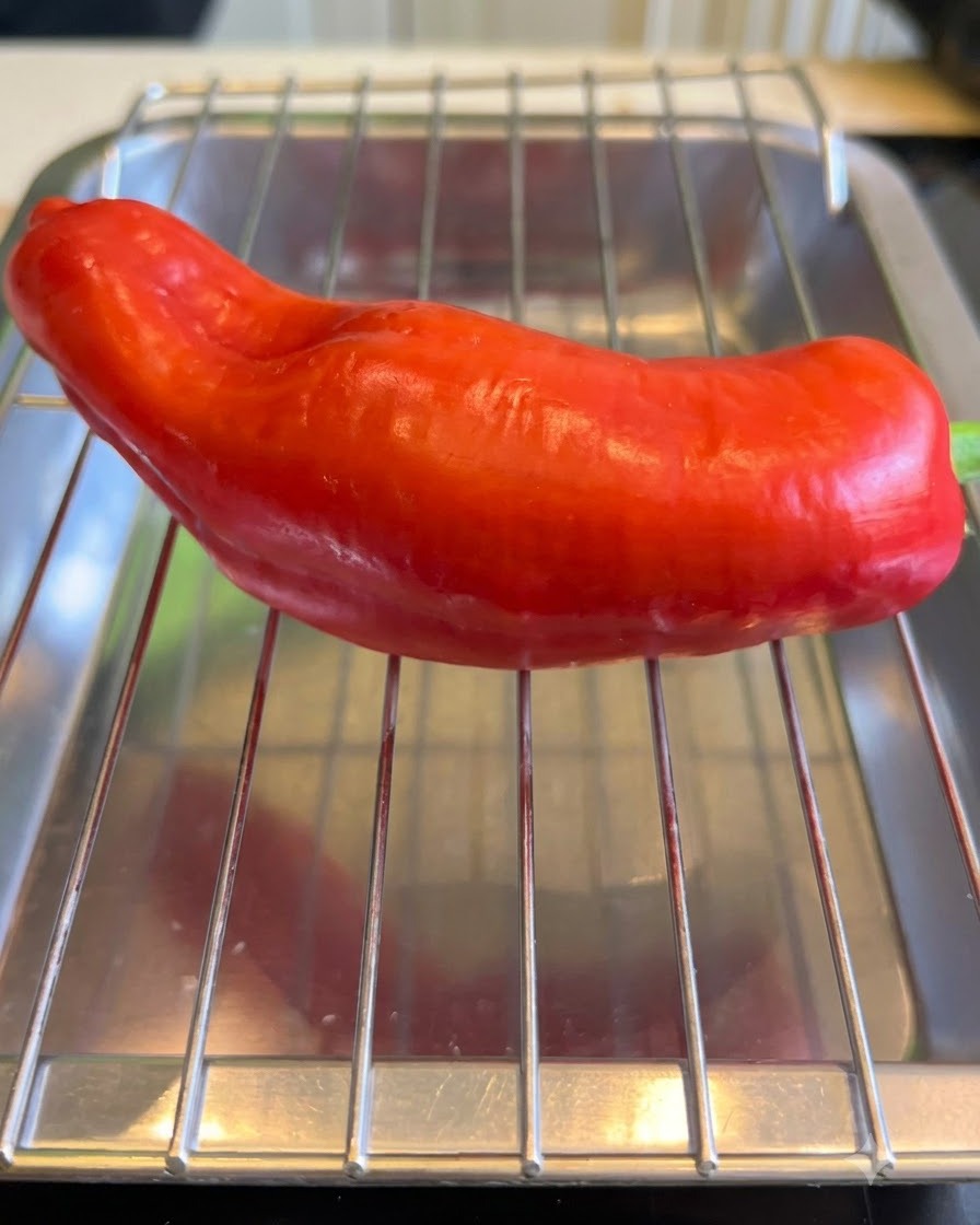 Un poivron rouge brûlé uniformément sur une grille métallique.