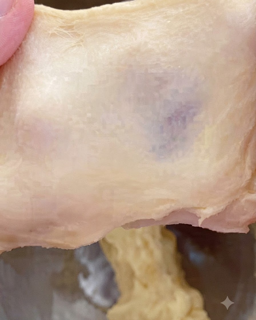 Morceau de pâte étiré pour montrer une texture épaisse, légèrement rugueuse et un motif de déchirure.