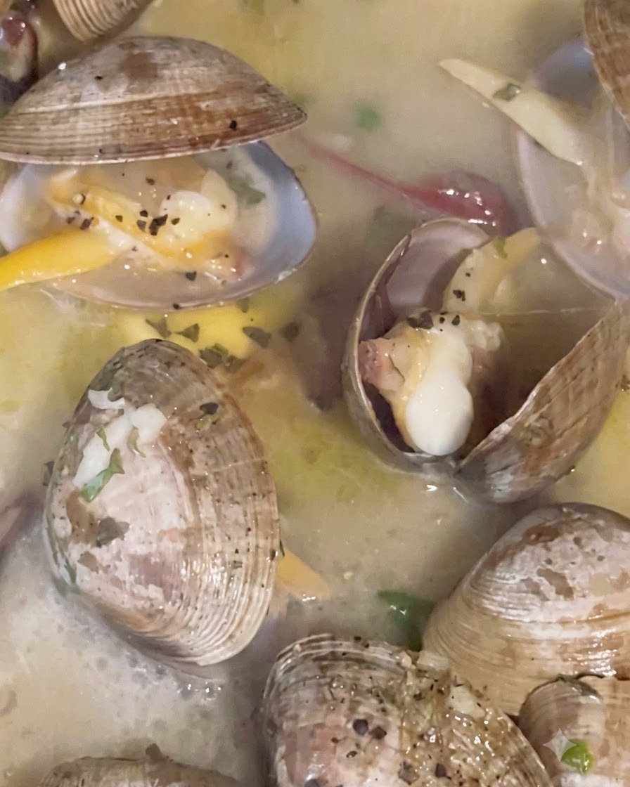 Poêle recouverte dun couvercle pendant que les palourdes cuisent à la vapeur et mijotent dans le bouillon jusquà ce que leurs coquilles souvrent.