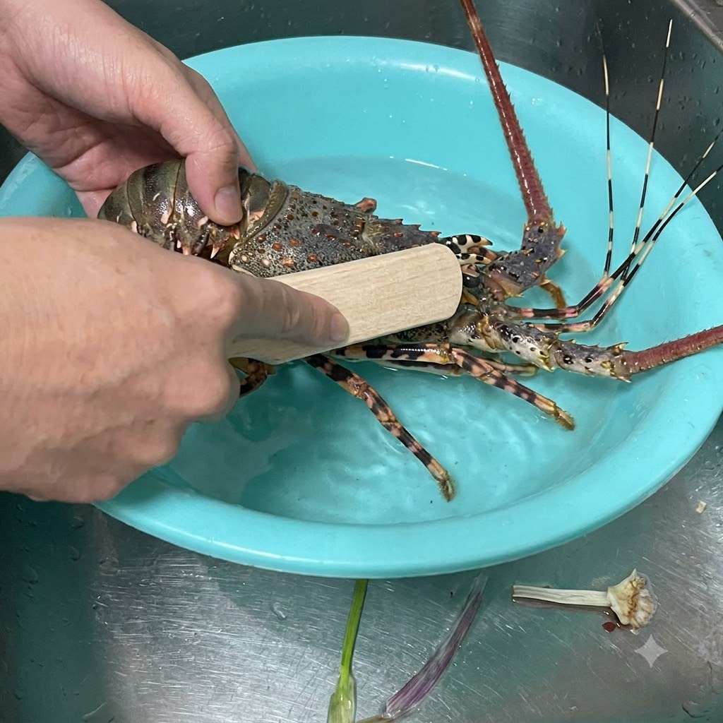 Mains tenant un homard épineux vivant dans un bassin bleu clair, utilisant une brosse en bois pour frotter la carapace sous leau courante.