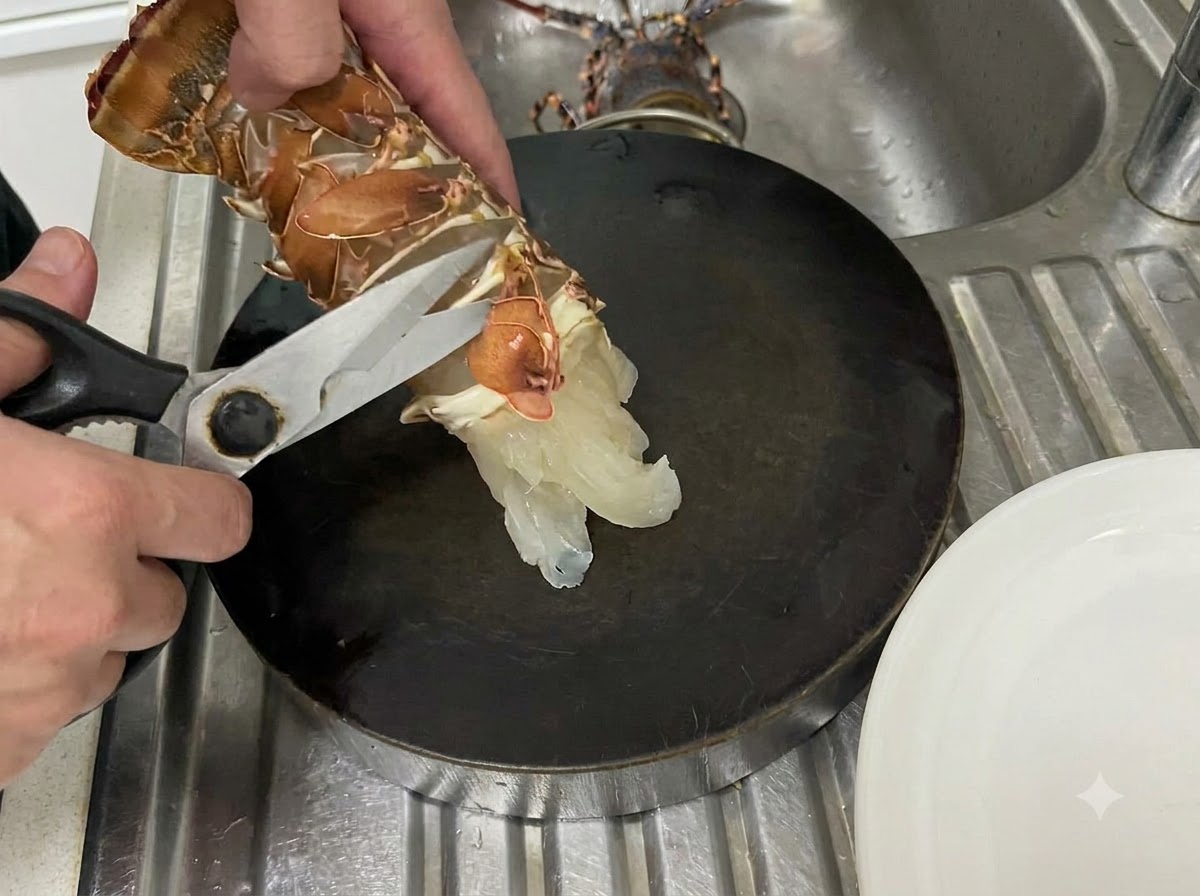 Mains utilisant des ciseaux de cuisine pour couper le long de la membrane inférieure dune queue de homard crue sur une surface de coupe sombre.