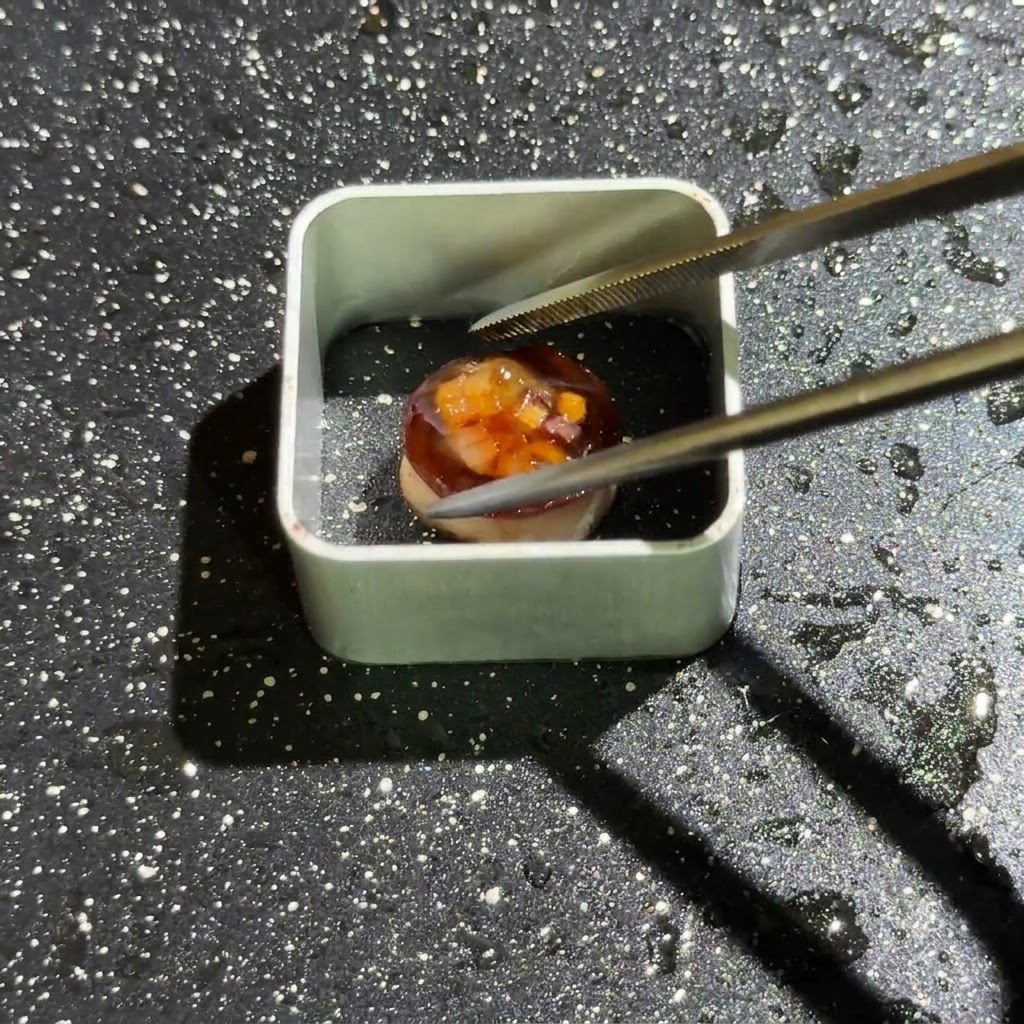 Un moule en métal carré placé dans une poêle huilée avec un petit composant de champignon positionné à lintérieur à laide dune pince.